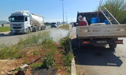 Adıyaman'da haşereye karşı yoğun ilaçlama mesaisi - Videolu Haber