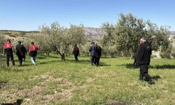 Dolu sonrası hasar tespit çalışmaları başladı