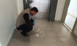 Besni'de yavru kedi parçalanmış halde bulundu