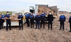 Haliliye'de 5 bin koli yumurtaya el konuldu