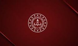 MEB, Siverek'teki okul saldırısı için üst düzey heyet görevlendirdi