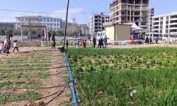 Öğrenciler, Adıyaman Belediyesi'nin sebze bahçesinde incelemelerde bulundu - Videolu Haber