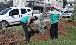 Şanlıurfa Haliliye Belediyesinde yaz öncesi parklarda bakım çalışmaları devam ediyor