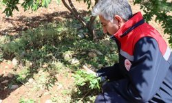 Tarım ve Orman İl Müdürü Akkan, TRT GAP'ta tarımsal yağışları değerlendirecek