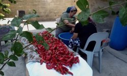 'Tükettiğimiz Dünya' etkinlikleri devam ediyor: Belgesel gösterimi sonrası forum düzenlenecek