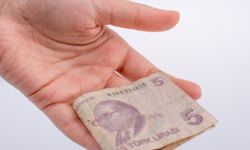 5 TL'nin arkasındaki isim: Ordinaryüs Profesör Aydın Sayılı kimdir, neden banknotta yer alıyor?