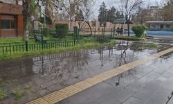 Adıyaman hava durumu nasıl? Sıcaklıklar artıyor mu? Yağış var mı?