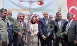 Adıyaman'da çiftçilere zeytin fidanı ve arılı kovan desteği