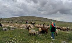 Adıyaman'da Kuyulu ve Akdere köylerinde mera alanları yerinde incelendi