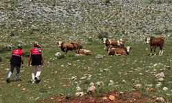 Adıyaman'da meralar için teknik inceleme