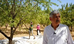 Başkan Hallaç’tan 1 Mayıs Mesajı: Emek Ve Dayanışma Vurgusu