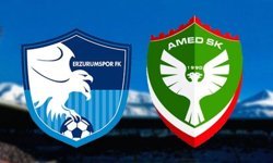 Erzurumspor FK'nden sonra Amedspor da Süper Lig'e yükseldi