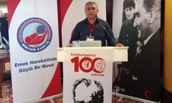 Genel Sağlık-İş Adıyaman İl Başkanı Aytemir: Güvenli çalışma ortamı istiyoruz