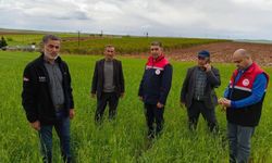Adıyaman’da Dolu Ve Yağış Tarımı Vurdu: Ekipler Sahada