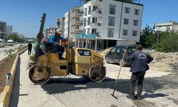 Karapınar Mahallesi'nde Hısn-ı Mansur Caddesi yenileniyor
