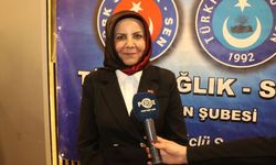 Türk Sağlık Sen Adıyaman Şube Başkanı Fidan Karakuş'un anneler günü mesajı - Videolu Haber