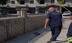 Adıyaman'da Hastane Yanında 2 Metrelik Yılan Yakalandı