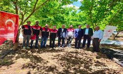 Adıyaman'da Coğrafi İşaretli Tut Dutunun Hasadı Başladı