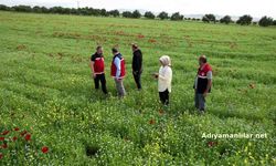 Adıyaman'da çiftçiler, kuraklık ve zirai dona dayanıklı ürünlere yöneldi