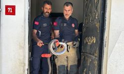 Adıyaman'da Evin Lavabosundan Yılan Çıktı