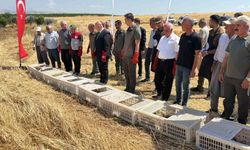Adıyaman Doğasına Bin Keklik Bırakıldı