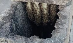 Arılar binanın bacasında oğul verdi