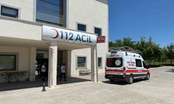 Besni'de otomobil şarampole yuvarlandı: 2 yaralı