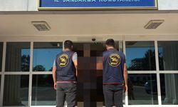 Şanlıurfa'da aranan hükümlü yakalandı
