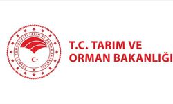 Alkollü İçki Reklamlarına Yeni Düzenleme Geldi
