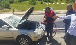 Adıyaman'da seyir halindeki otomobil alev aldı