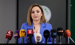 DEM Parti’den Çerçeve Yasa Çağrısı