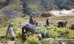Siirt'te Kalp Krizi Geçiren Kadın Katırla Taşındı