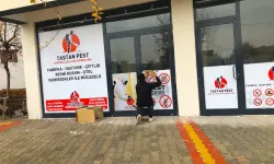 Adıyaman'da Taştan Pest Kontrol ve İlaçlama: Güvenli, Planlı ve Profesyonel Çözümler