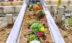 Vatandaşlardan Mezarlıklardaki Çiçek Hırsızlığına Tepki