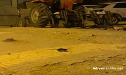 Adıyaman'da Lağım Fareleri Vatandaşları Tedirgin Ediyor