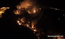 Adıyaman Ali Dağı Orman Yangınıyla İlgili Şüpheli Tutuklandı