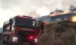 Kahta'da anız yangını köye kadar ulaştı