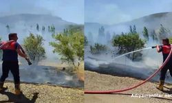 Besni'de Bahçe Yangınında Ağaçlar Zarar Gördü