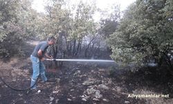 Besni'deki Orman Yangını Kontrol Altına Alındı