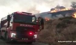 Kahta'da Anız Yangını Köye Yaklaşınca Ekipler Seferber Oldu