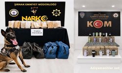 Şırnak'ta Kaçakçılık Operasyonunda 3 Tutuklama
