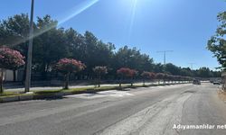 Adıyaman'da Cadde Ve Parklara 4 Bin Ağaç Dikilecek