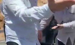 Adıyaman'da trafikte kavga: Yolu trafiğe kapatıp saldırmaya çalıştılar