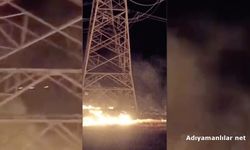 Besni'de Orman Yangını Kontrol Altına Alındı