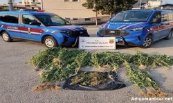 Kahta'da 1,5 Kilo Esrar Ve 42 Kök Kenevir Ele Geçirildi