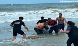 Ordu'da Denize Giren İki Kardeşi İtfaiye Kurtardı