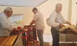 2 Bin 500 Rakımda Bal Hasadı Başladı