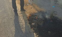 Yola sürten inşaat demirleri anızı tutuşturdu: Duyarlı sürücü söndürdü