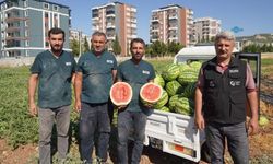 Adıyaman Belediyesinin bostanında yetişen karpuzun kilosu 5 liradan satışa çıktı