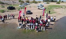 Çamgazi Baraj Göleti'ne 680 bin yavru sazan bırakıldı